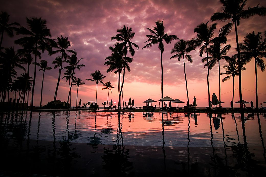 Palm beach at sunset